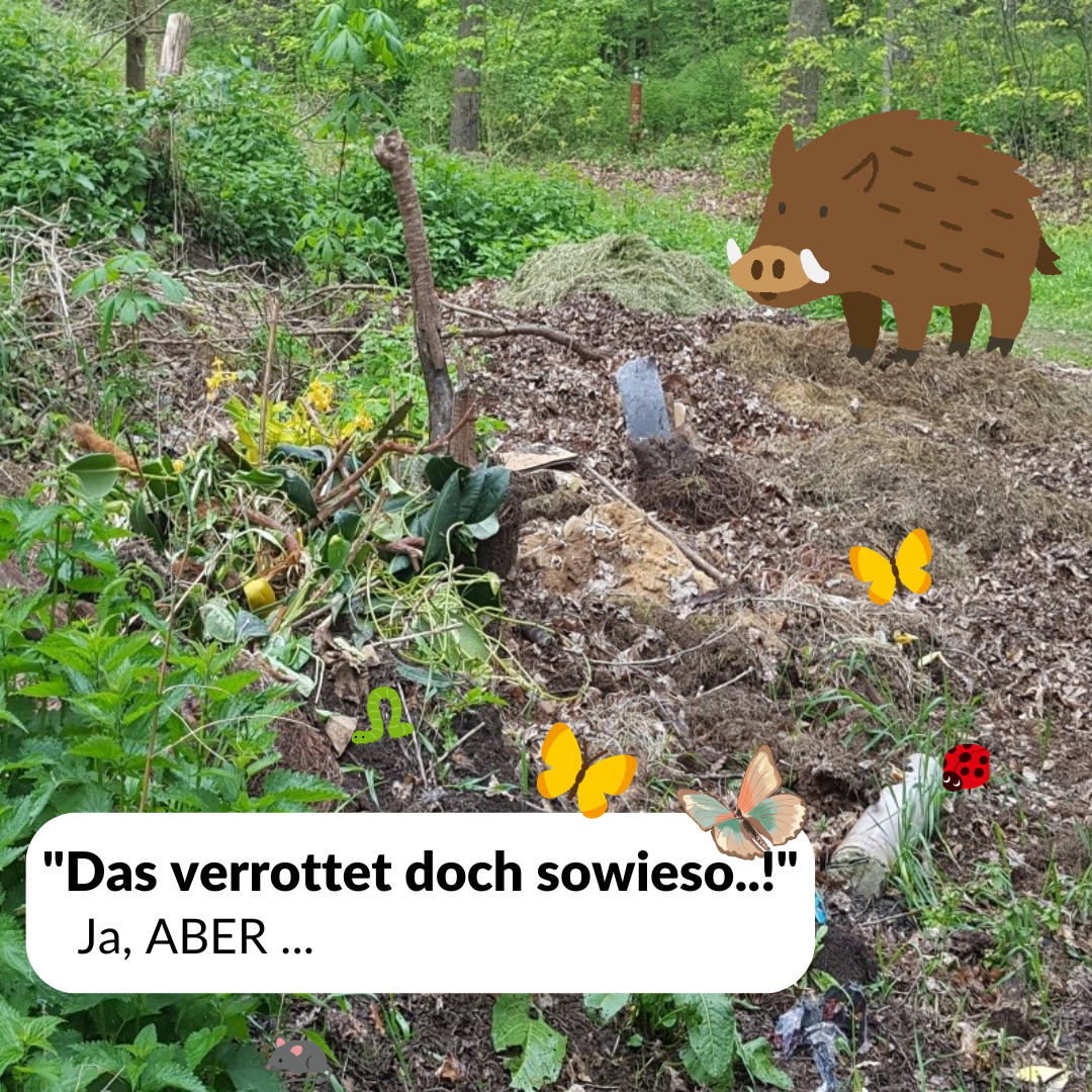 Gartenabfälle richtig entsorgen: So wird´s gemacht.